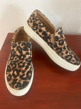 Steven Madden Leopard Print Slip-On Sneakers